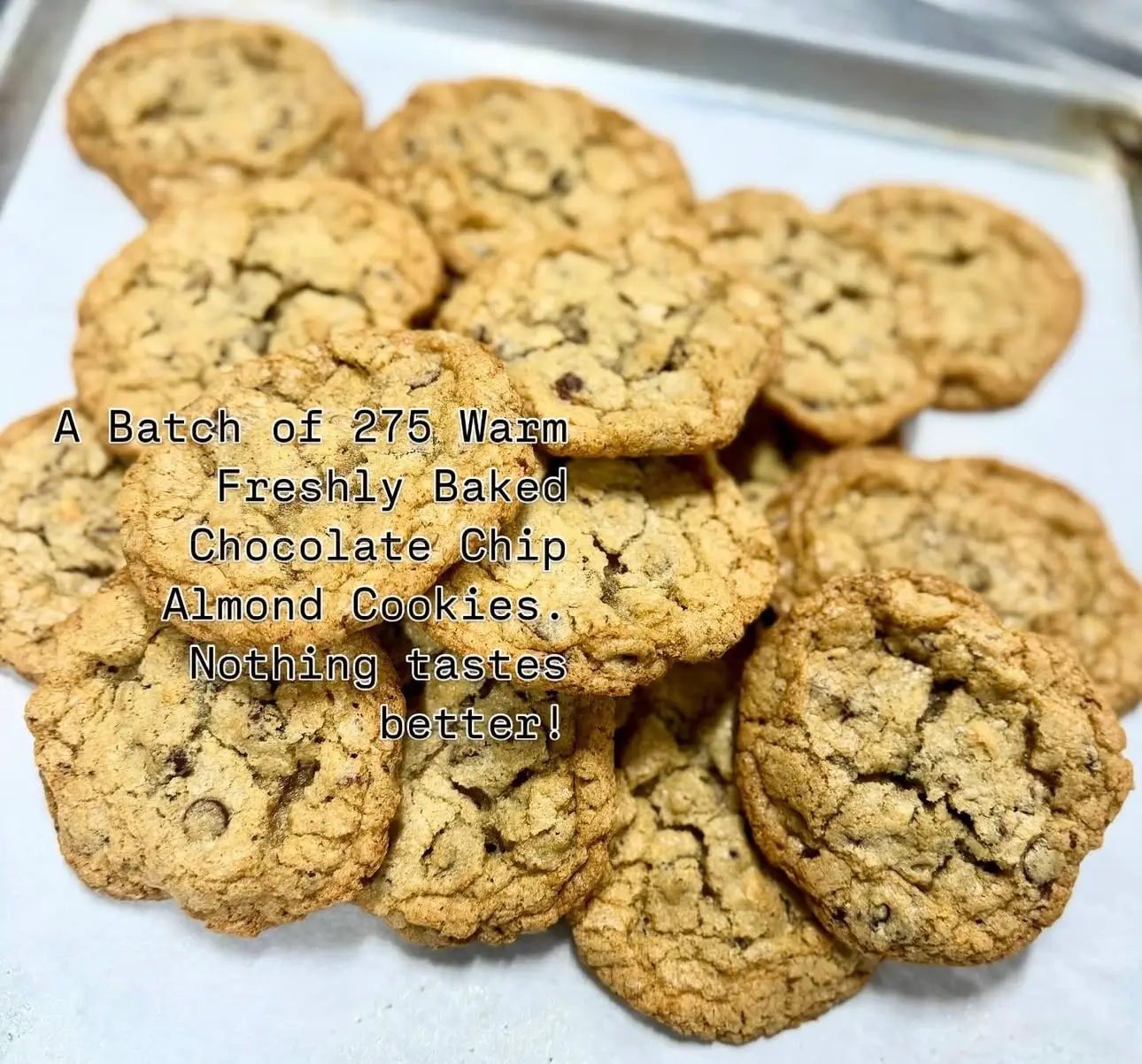 Salted Chocolate Chip Cookies with almonds & adaptogens